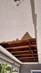Top Drywall Contractor Fort Lauderdale, FL | John 'The Greek' Painting