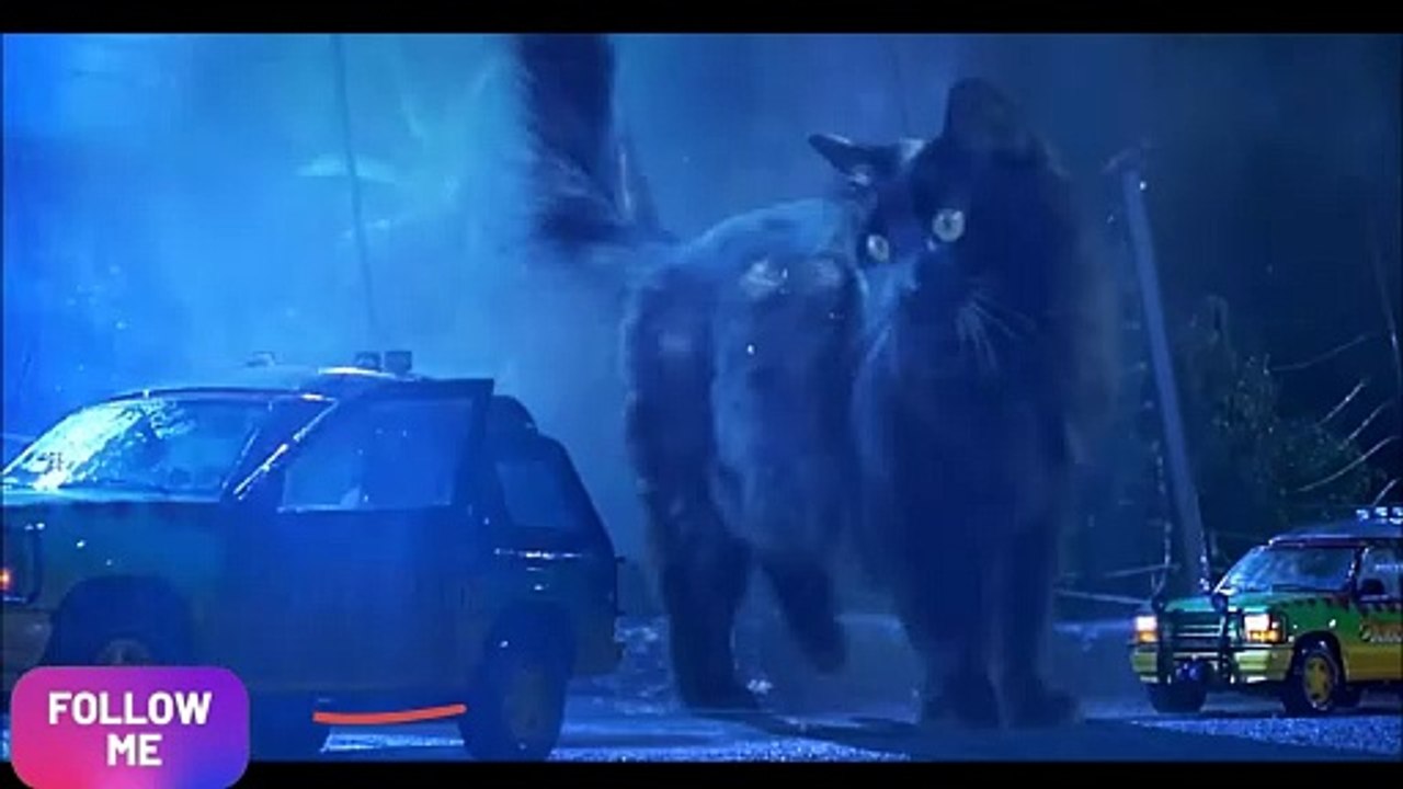 Jurassic Park Tapi Kucing