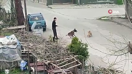 Samsun'da tepki çeken görüntüler!