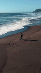 Nature with Milari Organics Green baby Mattress.