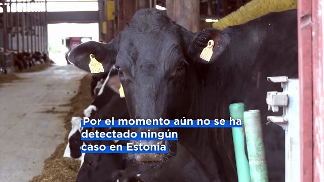 Las granjas europeas refuerzan su bioseguridad ante la amenaza de la fiebre aftosa