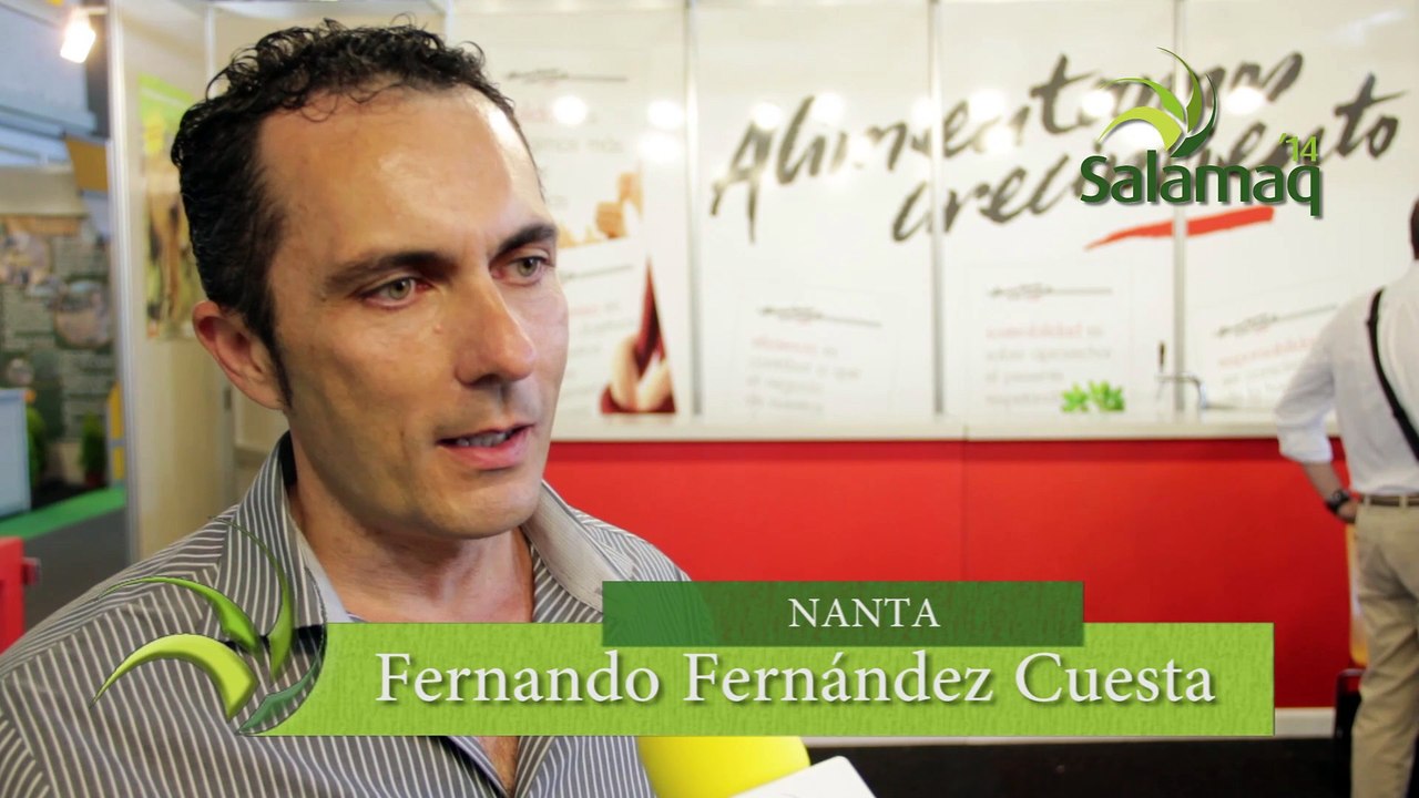 Stand NANTA