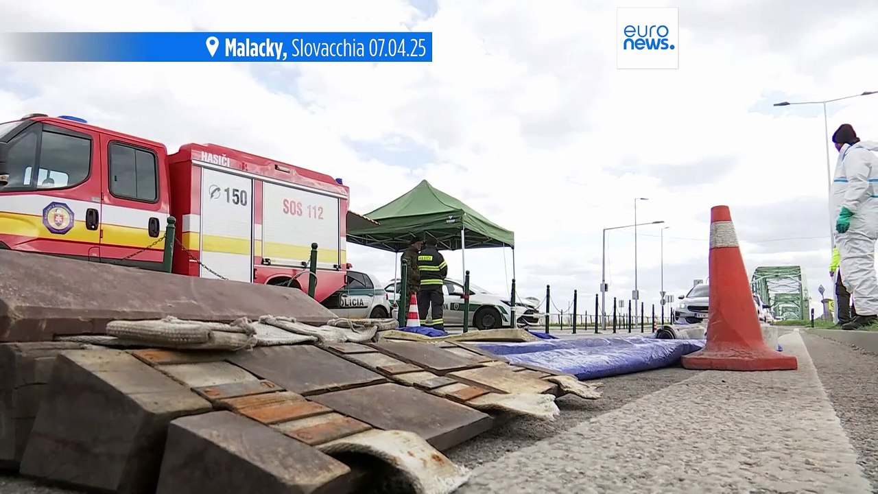 Controlli per l'afta epizootica sui camion dalla Slovacchia causano ingorgo ai valichi di frontiera