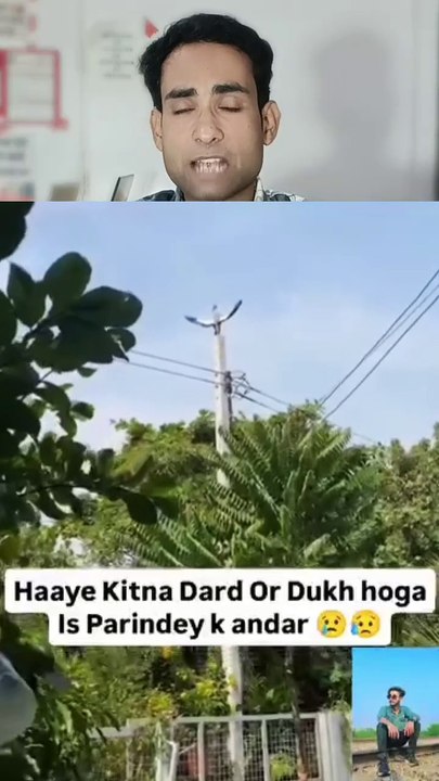 Pakshi ne Allah se madad ki dua mangi