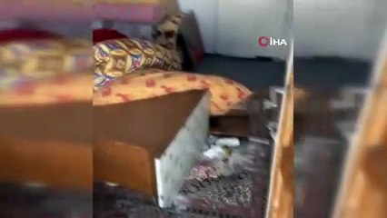 Kış uykusundan uyanan ayılar 10 yayla evini darmadağın etti