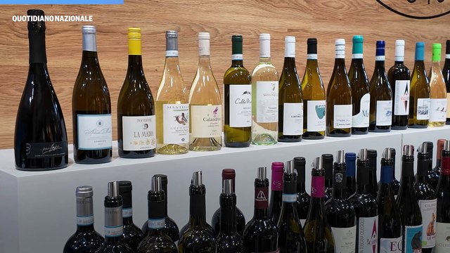 Tra turismo e vigneti, la ricetta del Consorzio Maremma Toscana: intervista a Francesco Mazzei