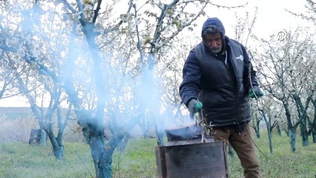 Çiftçiler tarlada sabaha kadar nöbet tuttu: Korktukları hırsızlar ya da hayvanlar değil!