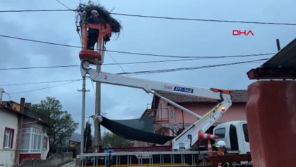 Bozulan leylek yuvası düzeltildi