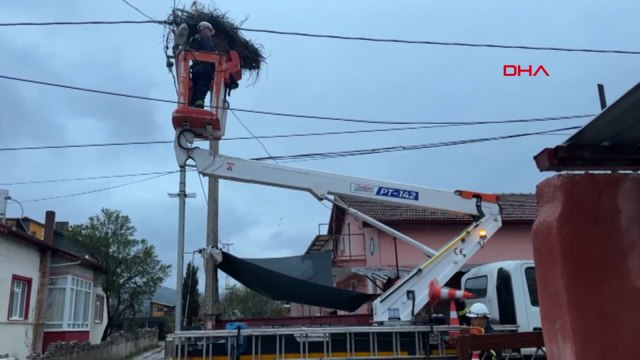 Bozulan leylek yuvası düzeltildi