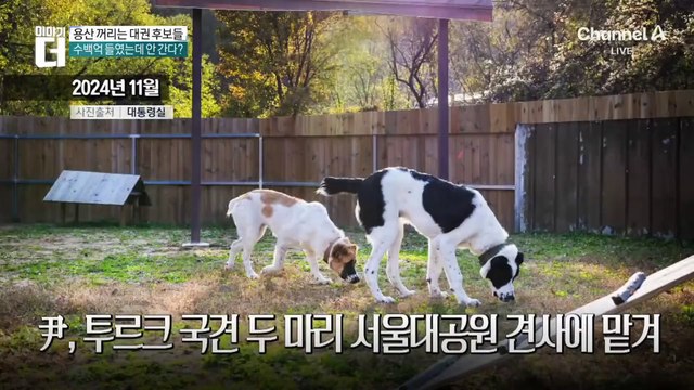 ‘트럼프 관세’ 때문에 아이폰 ‘500만 원’ 될 가능성?