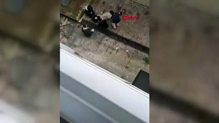 Üniversiteli genç köpeklerden kaçarken feci şekilde yaralandı