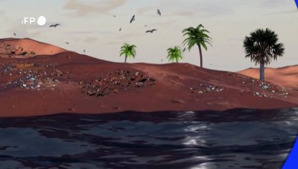 Videografik: So gefährlich ist Mikroplastik