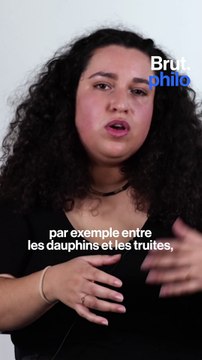 Brut Philo — C'est quoi le spécisme par Sarah Zanaz