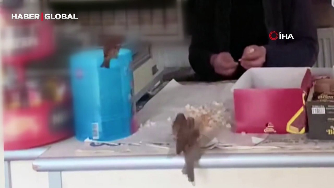 Saksağan ile ilçe esnafının renkli görüntüleri ilgi gördü