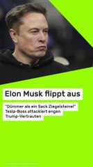 Copy of Elon Musk flippt aus: "Dümmer als ein Sack Ziegelsteine!" Tesla-Boss attackiert engen Trump-Vertrauten
