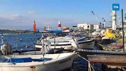 Pelikan "Tosun" yaralı olarak sığındığı Foça'nın maskotu oldu