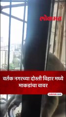 ठाण्यातील गृहसंकुलात माकडांचा वावर-