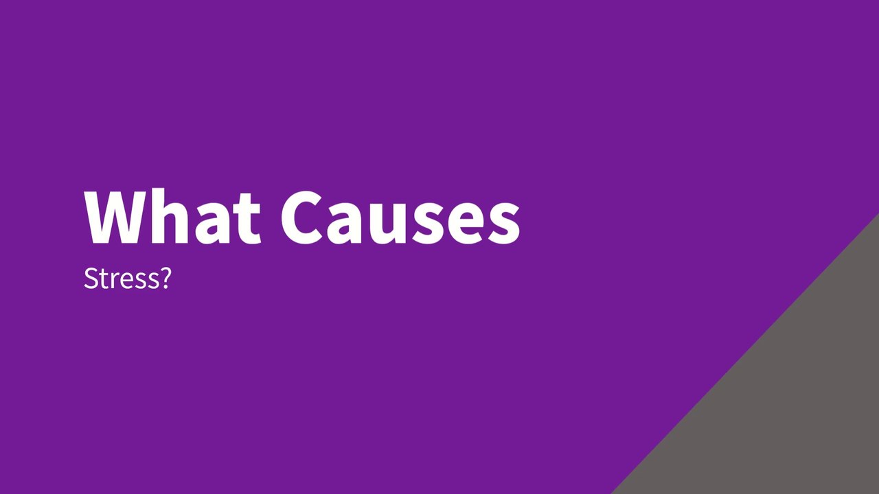 What Causes Stress?