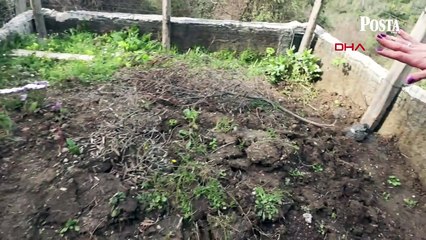 Ölüm döşeğinde şoke eden itiraf! Hayatı boyunca dedesi sanıyordu, babası çıktı: Bana tırnaklarını ve saçlarını verdi...