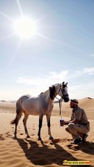 🏜️🐴 Brave Traveler Rescues Pregnant Horse in the Desert! | A Journey of Compassion ❤️