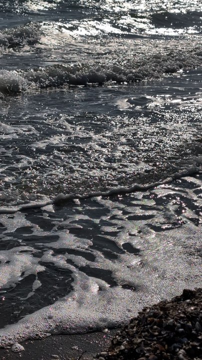 Шум моря 2025. Black Sea