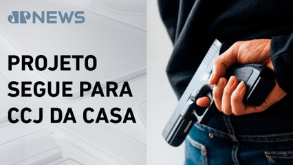 Comissão aprova utilização de armas para advogados