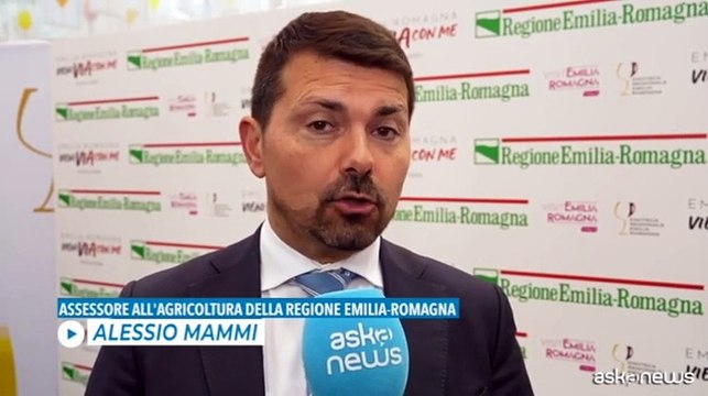 Mammi: a Vinitaly Emilia-Romagna unita su vino, cibo e territorio