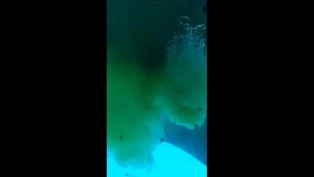 El vídeo producido por cuatro organizaciones ecologistas para denunciar la masificación náutica de las costas españolas.