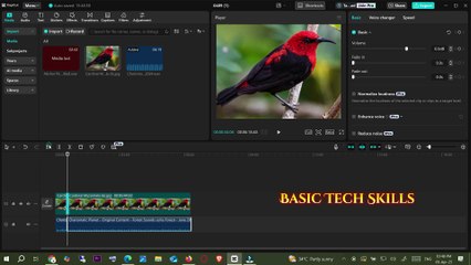 How to Reverse Sound in Capcut in PC