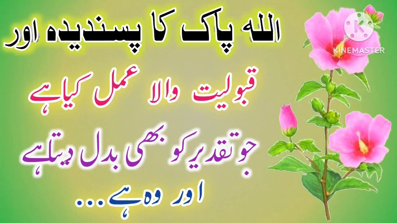 Allah Ka Pasandida Amal Kiya Hai💯! Islamic Urdu Quotes🔥! Golden Words In Urdu💥! ISLAMIC URDU MEWAT