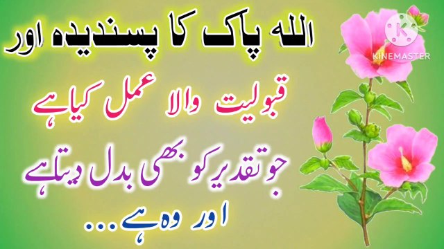 Allah Ka Pasandida Amal Kiya Hai💯! Islamic Urdu Quotes🔥! Golden Words In Urdu💥! ISLAMIC URDU MEWAT