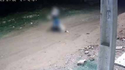 Canaã dos Carajás: pitbull tenta atacar criança e escapa por pouco