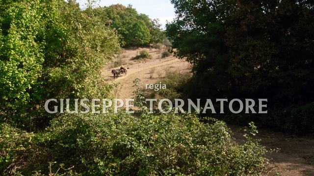 Il Camorrista - Una serie di Giuseppe Tornatore S1E1