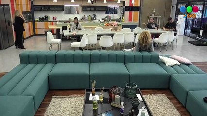 Preocupación por la salud de Paris, la perra de Gran Hermano 2024