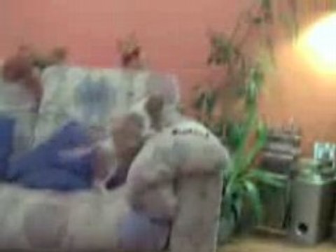 Stella's Puppies 150208