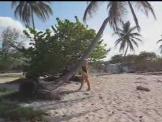 Clip papillon de lumiere (parodie)