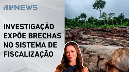 Madeira ilegal do Pará abastece mercados internacionais; Patrícia Costa comenta