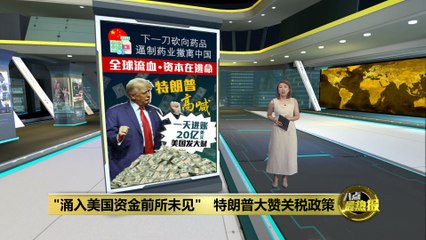 特朗普宣称关税让美国每日收入20亿美元，全球市场震荡 🔥