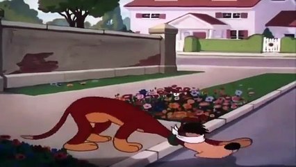 Classic-cartoon-collection-welcome-to-the-movies-and-television