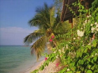 La Ou Je T'emmènerai