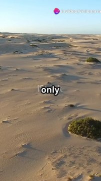 #DidYouKnow #FunFacts #MindBlown #LearnSomethingNew #RandomFacts #KnowledgeIsPower #FactTok #YouTubeShorts #FYP #ViralShorts