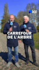 Paris-Roubaix : le carrefour de l'Arbre, dernier grand juge avant l'arrivée