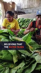 Imee Marcos, Bong Revilla are ‘hazardous to the nation’s health,’ says group