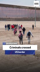 GOP strategist: Criminals crossed US border