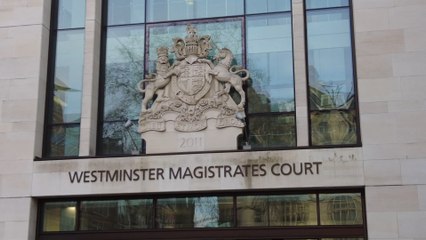 Just Stop Oil protesters deny criminal damage after latex poured on Tesla robot