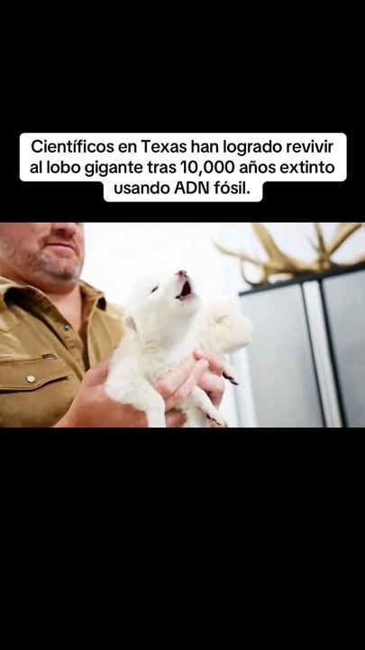 Reviven al lobo gigante tras 10,000 años extinto