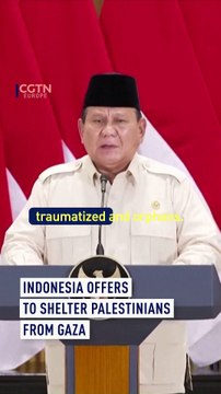 Indonesia offers to shelter Palestinians from Gaza