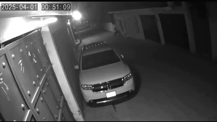 VIDEO: "Caballo fantasma" es captado en cámaras y desata misterio en redes sociales