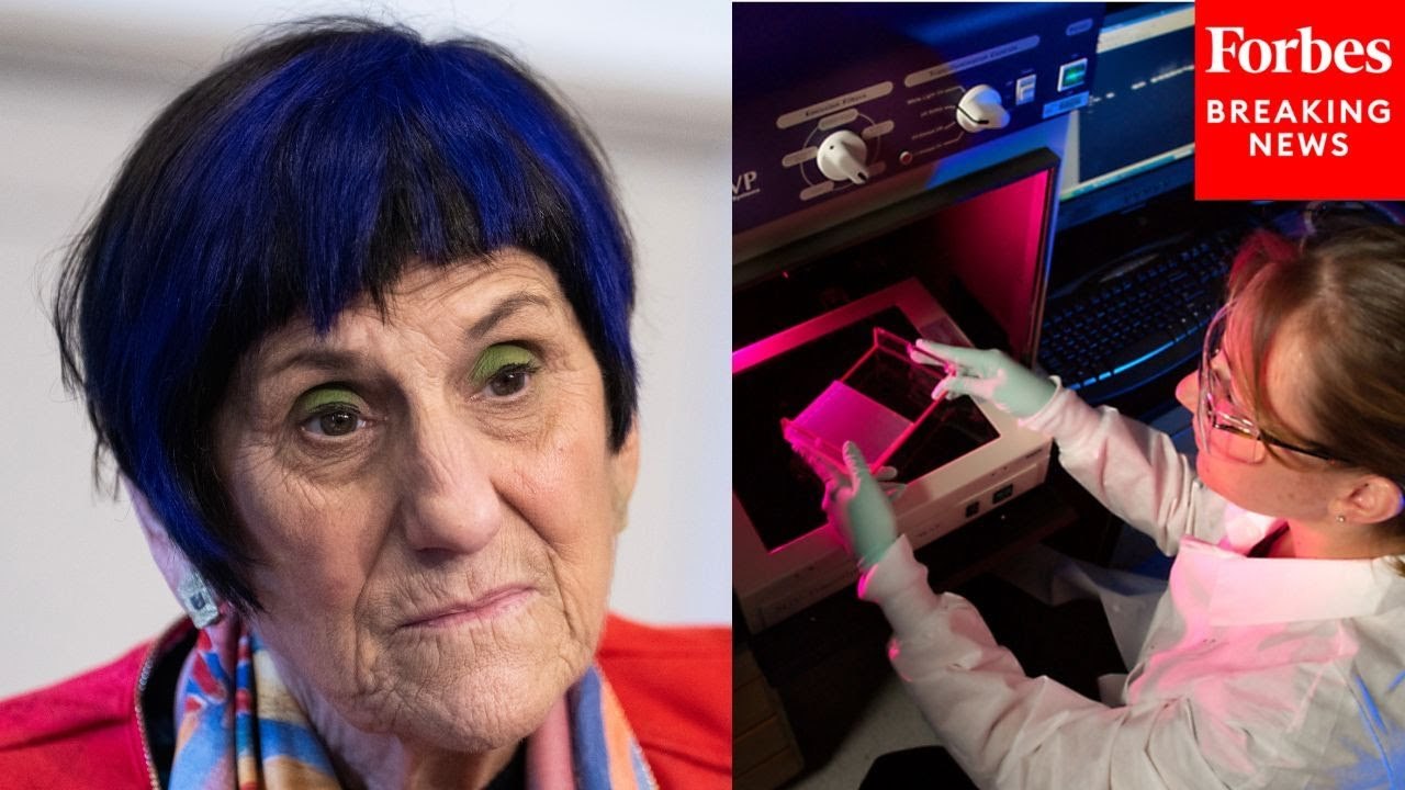 ‘PEPFAR Is In Dire Straits’: Rosa DeLauro Calls Out Trump Admin’s Efforts To ‘Abolish Foreign Assistance’