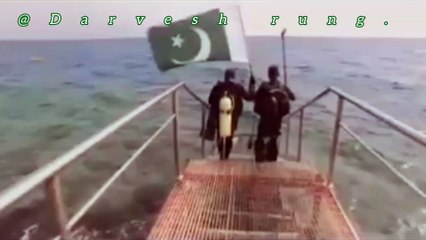 Pakistan navy. Glory of the Flag Underwater – A Heart-Touching Tribute of Patriotism in the Sea